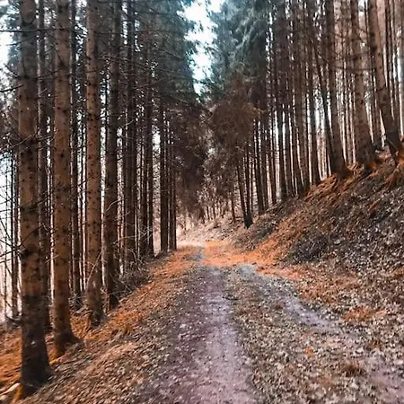 Nyaraló Kuscheliges Eifelhaus Mit Kamin&kino Entertainment